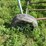 #4475-•-allied-auger-elevator-image-7