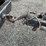 military-utility-trailer-8ft-long-image-8