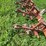 #4426-•-noble-digger-image-10