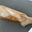 remington-1100-12-gauge-shotgun-image-3