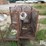 raised-calf-crates-image-2