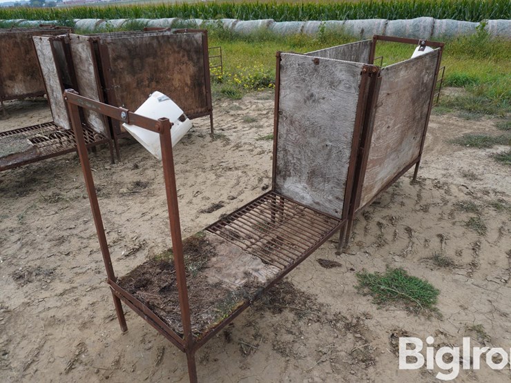 raised-calf-crates-image-5