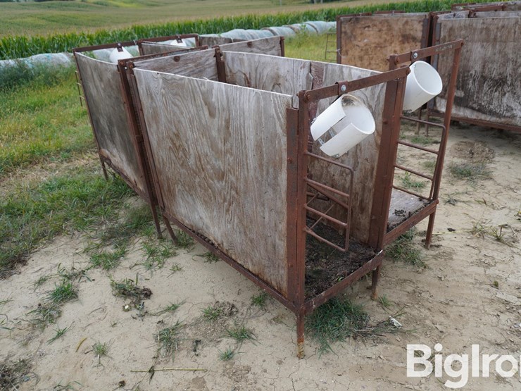 raised-calf-crates-image-7