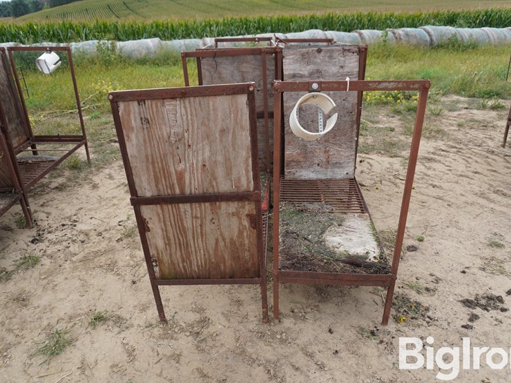 raised-calf-crates-image-6