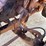 ford-f800-image-65