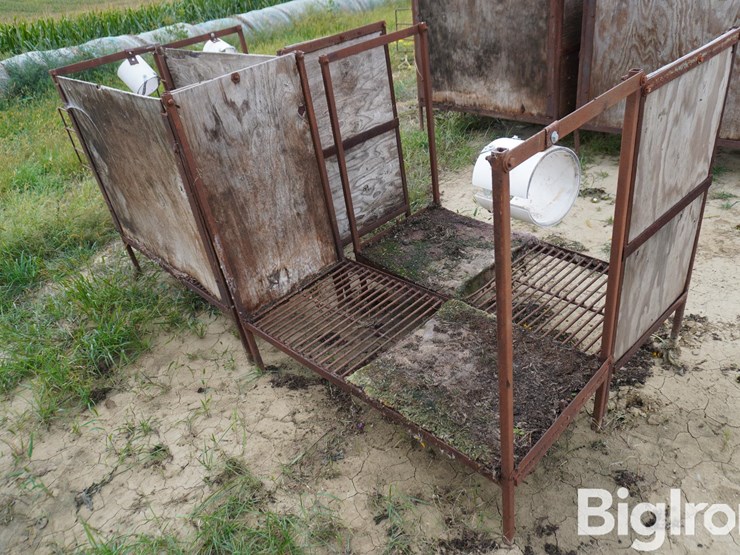 raised-calf-crates-image-7