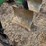 john-deere-975-image-17