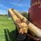 new-holland-355-image-18