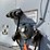 1998-great-dane-48-image-10