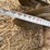 hesston-2420-image-31