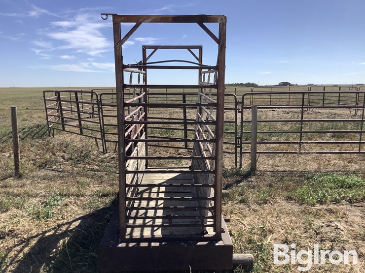 ww-800-livestock-scale-image-15