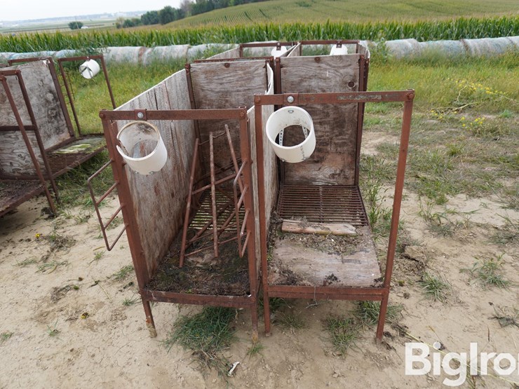 raised-calf-crates-image-6