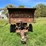#4478-•-homemade-pin-hitch-dump-box-image-2