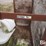 raised-calf-crates-image-19