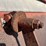 #1704-•-2006-abs-rc5-live-bottom-trailer-image-76