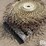 56"-wheel-rake-wheels-image-7