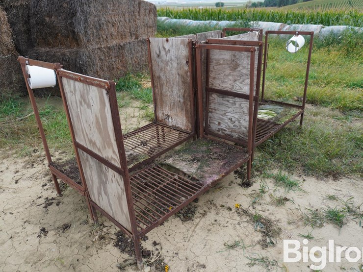 raised-calf-crates-image-5