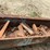 #153-•-pats-barn-sweep-conveyor-image-9