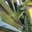 john-deere-4840-image-14