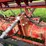 #4455-•-case-5400-soybean-special-grain-drill-image-16