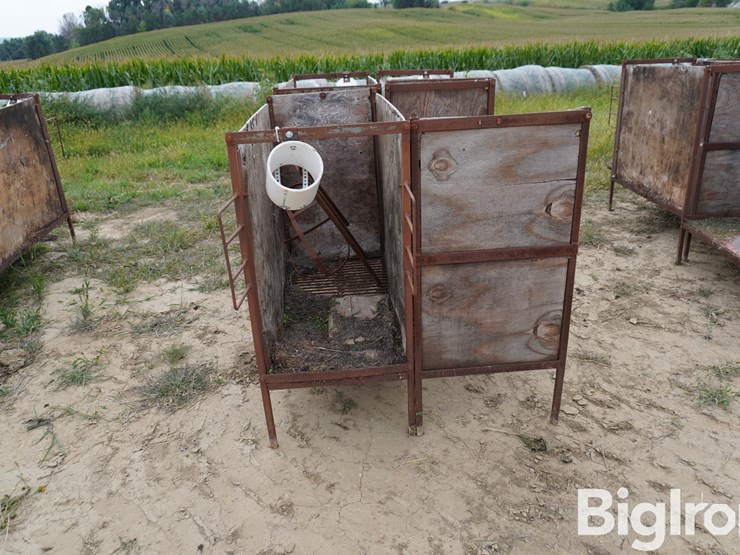 raised-calf-crates-image-6
