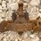 group-of-48-victor-double-coil-spring-traps-image-8