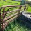 #4460-•-(3)-cattle-gates-image-4