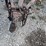 #8619-•-miller-big-40-welder-(aps)-image-42