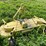 john-deere-272-image-5