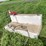 #4451-•-deezee-100-gallon-truck-fuel-tank-image-1