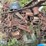 #153-•-pats-barn-sweep-conveyor-image-35