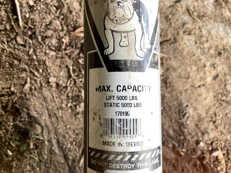 #4490-•-bulldog-jack-image-3