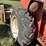allis-chalmers-a616-204-image-26