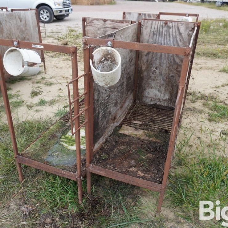 Raised Calf Crates