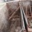 raised-calf-crates-image-14