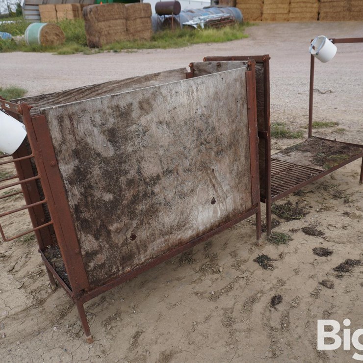 Raised Calf Crates