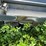 #4424-•-loftness-crop-logix-stalk-chopper-image-12