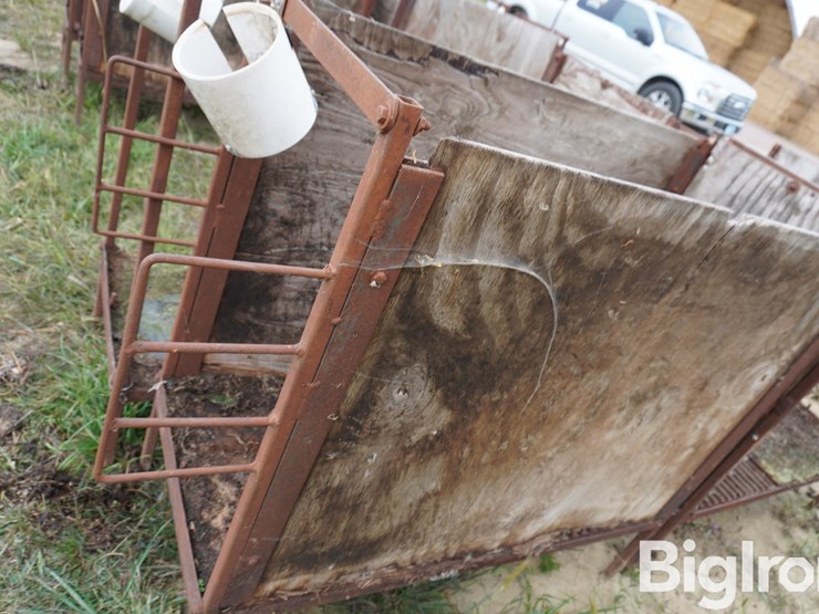 raised-calf-crates-image-18