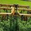 #4437-•-landoll-(7)-tooth-chisel-plow-image-10