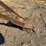 antique-hay-rake-image-7