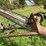 #4475-•-allied-auger-elevator-image-5