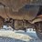 1995-ford-f-super-duty-image-33