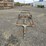 13'-farm-cart-image-11