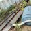 #150-•-daul-arbor-gangsaw-image-78