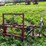 #4450-•-tine-ride-boom-sprayer-image-5
