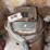 corded-shop-vac-image-2