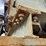 #8630-•-dickerson-twin-roll-rap-lump-breaker-(maq)-image-12