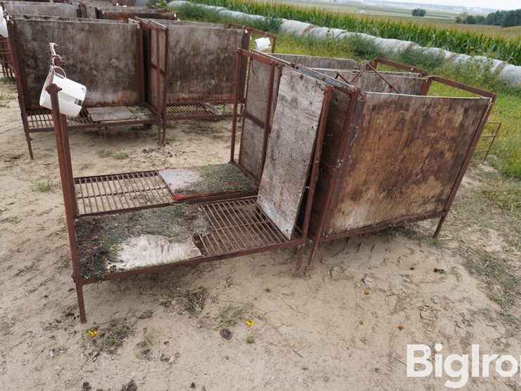 raised-calf-crates-image-4