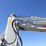 2017-takeuchi-tb290-image-13