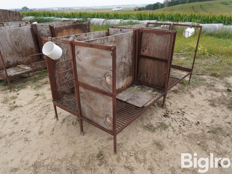 raised-calf-crates-image-5